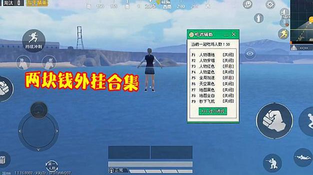 和平精英《向日葵》外挂