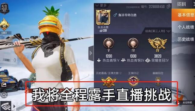 和平精英「战神w」辅助